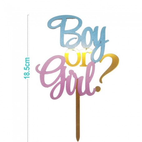 CAKE TOPPER GENDER BOY OR GIRL≠