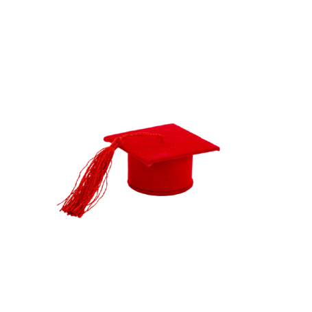 1PZ CAPPELLO LAUREA VELLUTO ROSSO